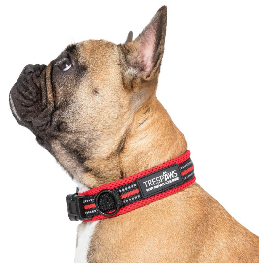 Trespass Κολάρο σκύλου Scooby Dog Collar